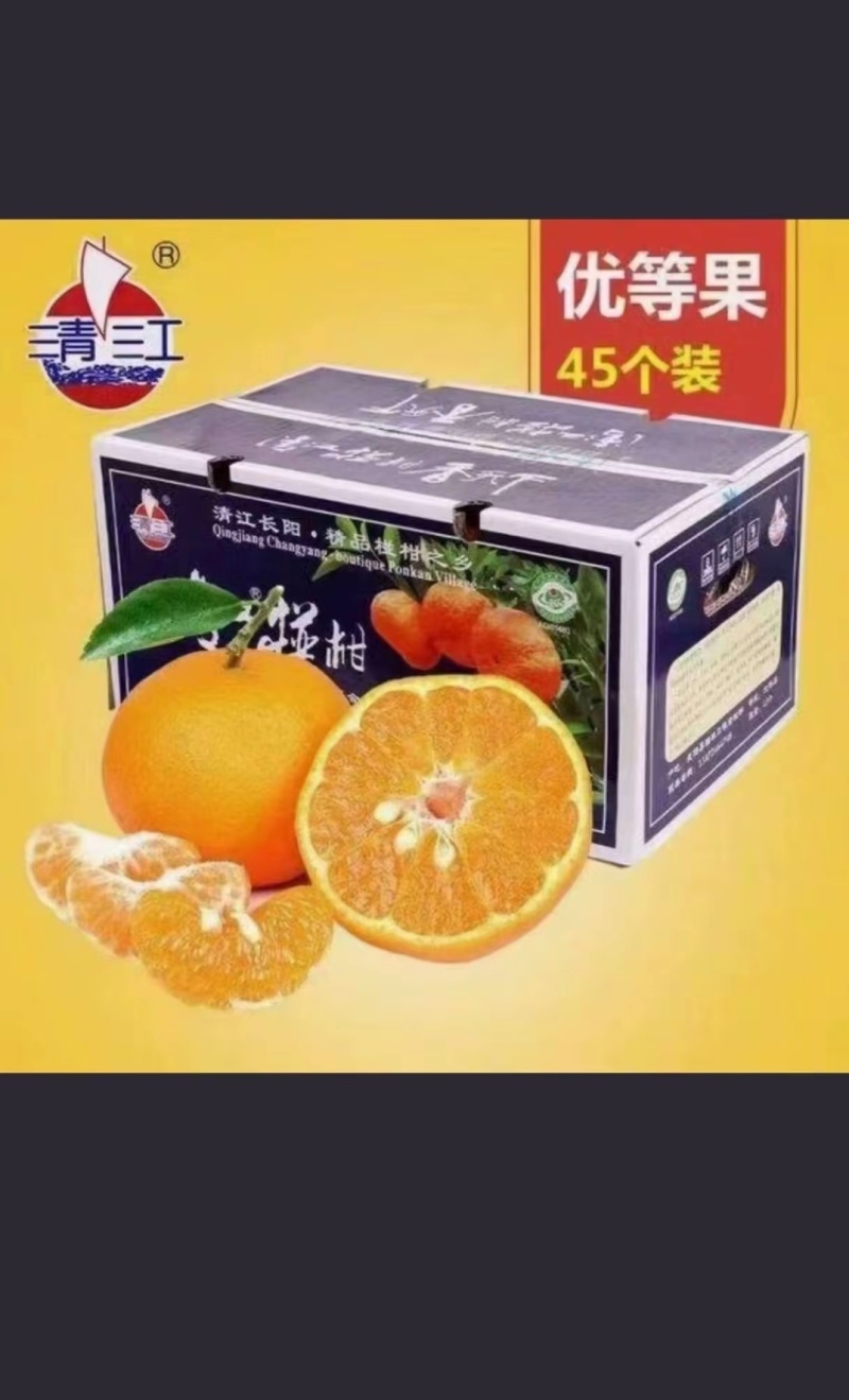 清江椪柑农产品