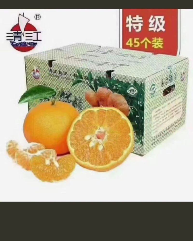 清江椪柑农产品