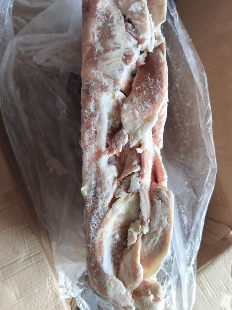 大日期月牙骨