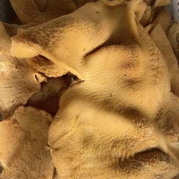 卤牛肚
