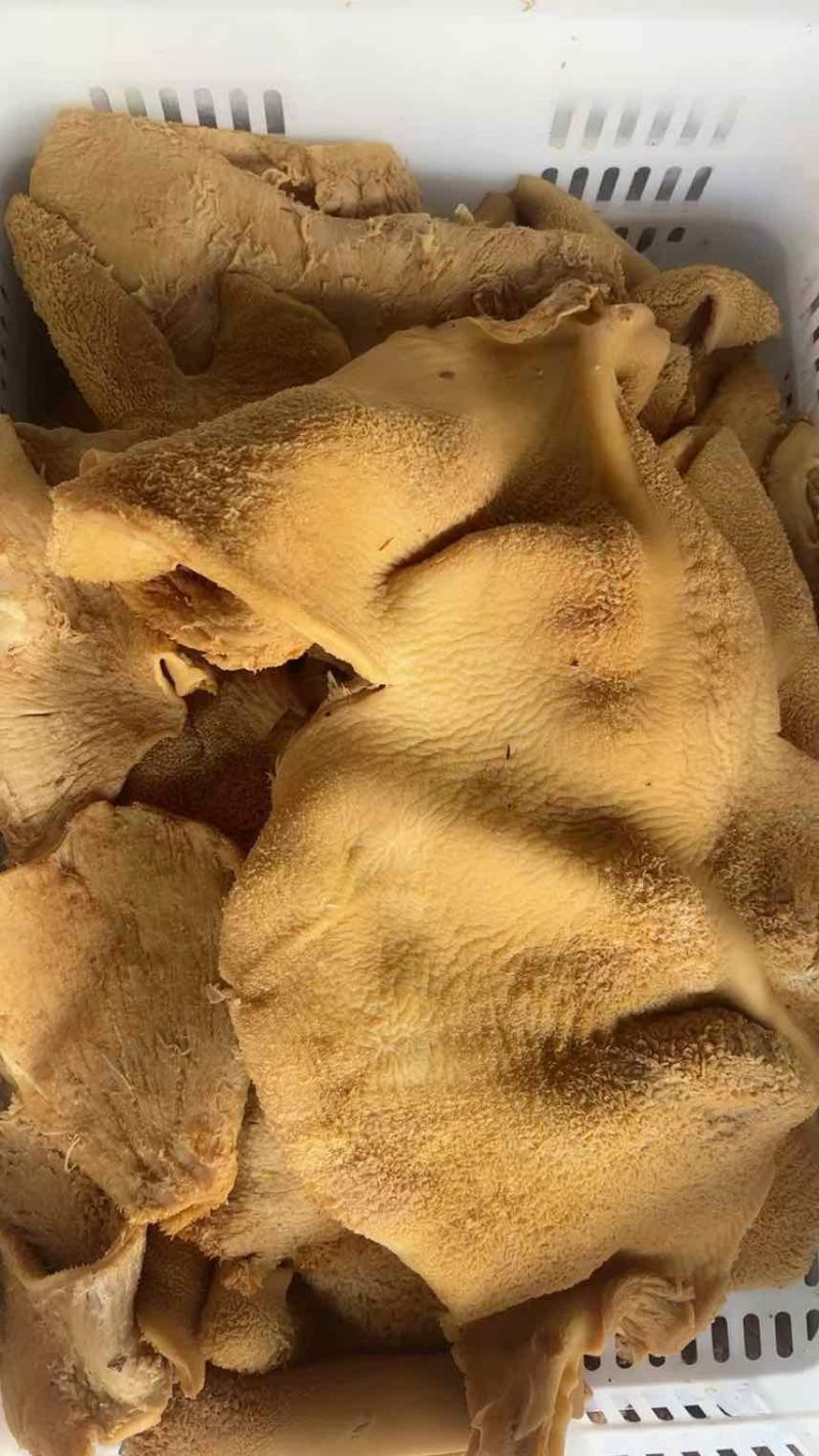 卤牛肚