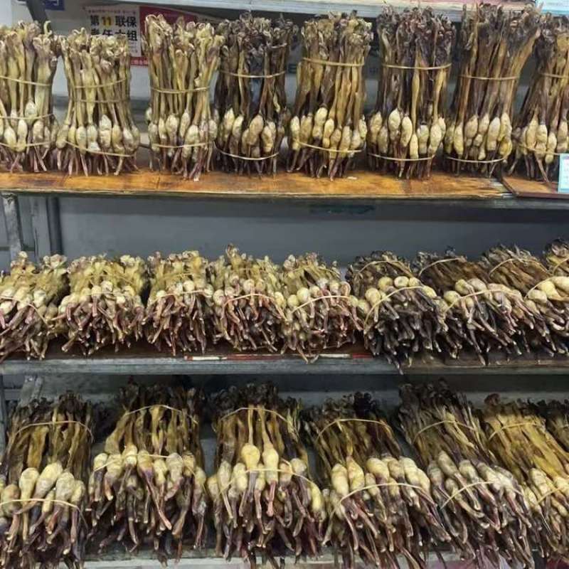 黄狗鞭正品中药材泡酒煲汤滋补养生干货