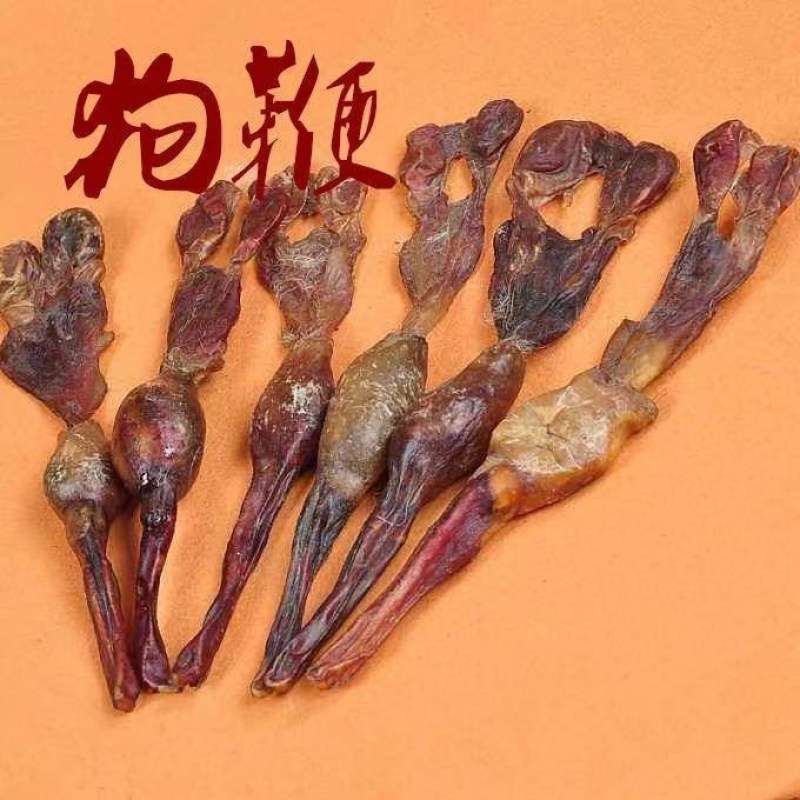 黄狗鞭正品中药材泡酒煲汤滋补养生干货
