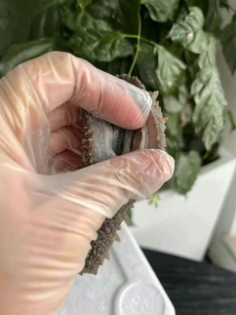 威海海参