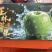 新疆王林苹果