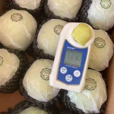 新疆王林苹果