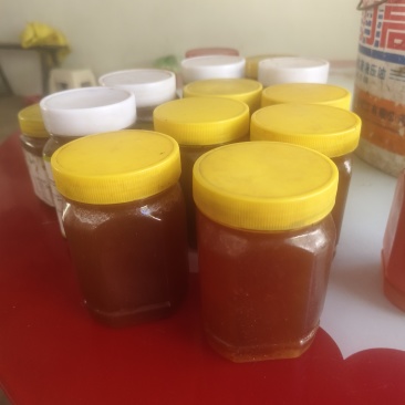 土蜂蜜