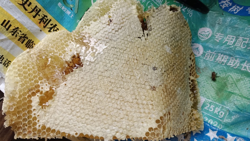 野生蜂蜜