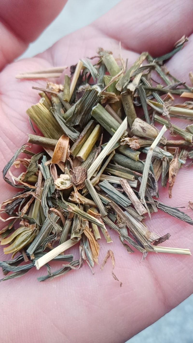 中药材，瞿麦