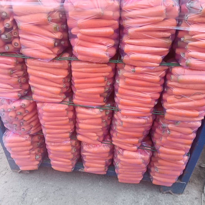 本地精品沙地胡萝卜，大量现货，带樱，半樱，水洗罗卜，