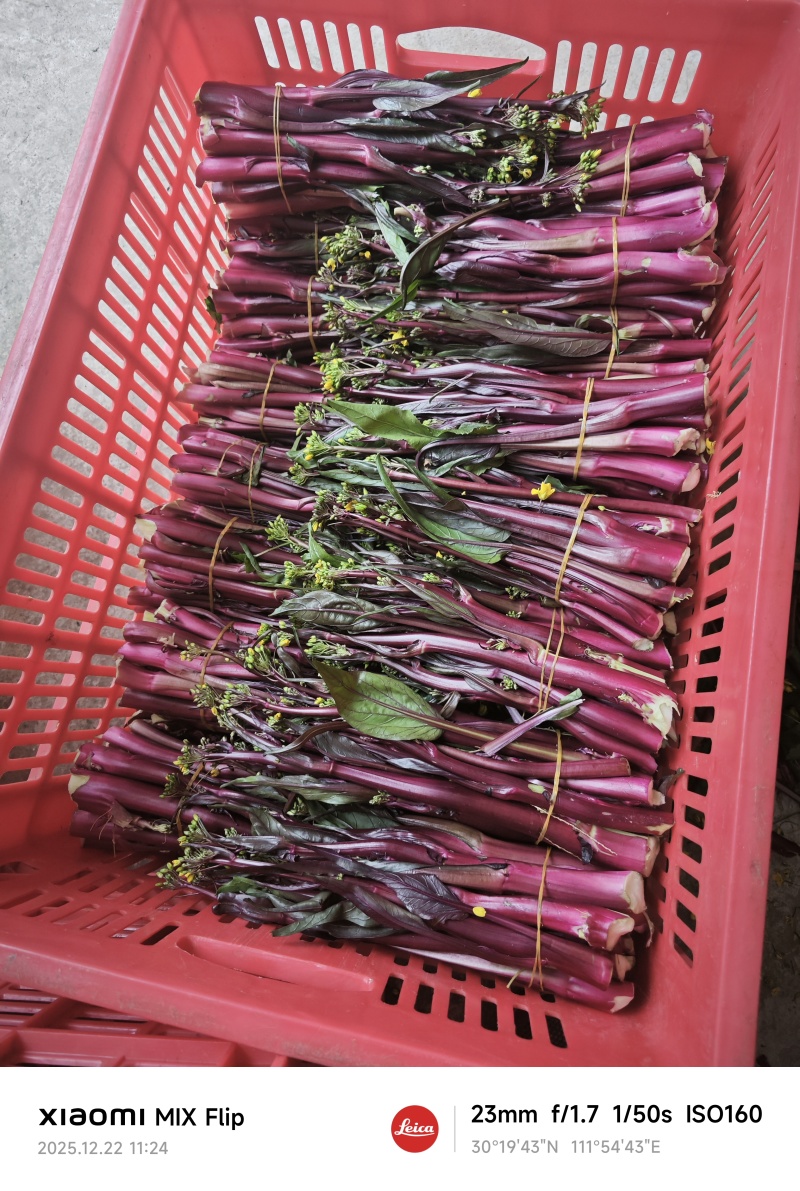 本地各种新鲜的疏菜，