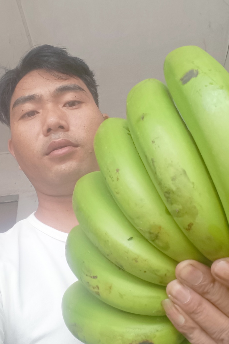 云南梁河老品种黄心香蕉