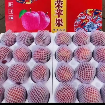 大中小苹果都有