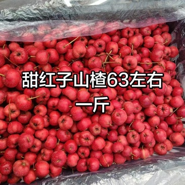 甜红子山楂