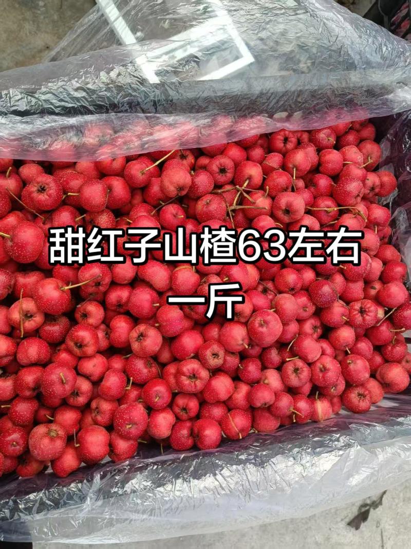 甜红子山楂