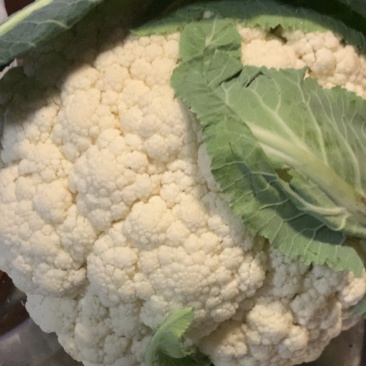 温州白花菜现货
