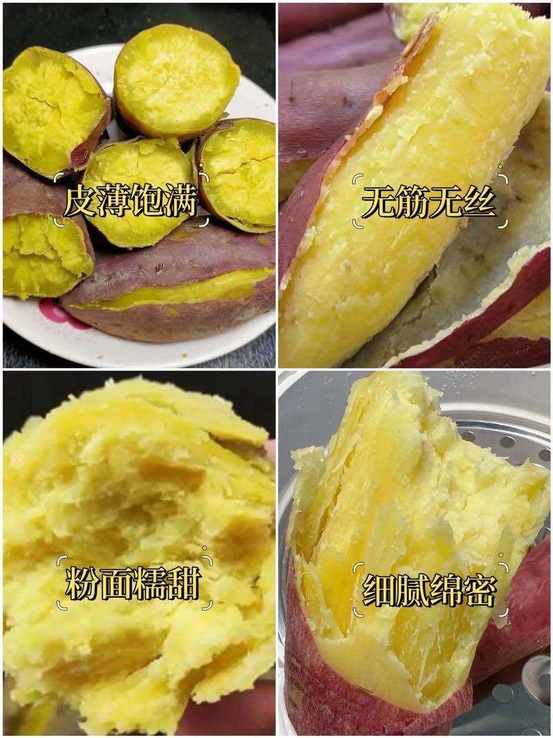 陕西板栗薯大量上市量大价优货真价实一手货源欢迎联系