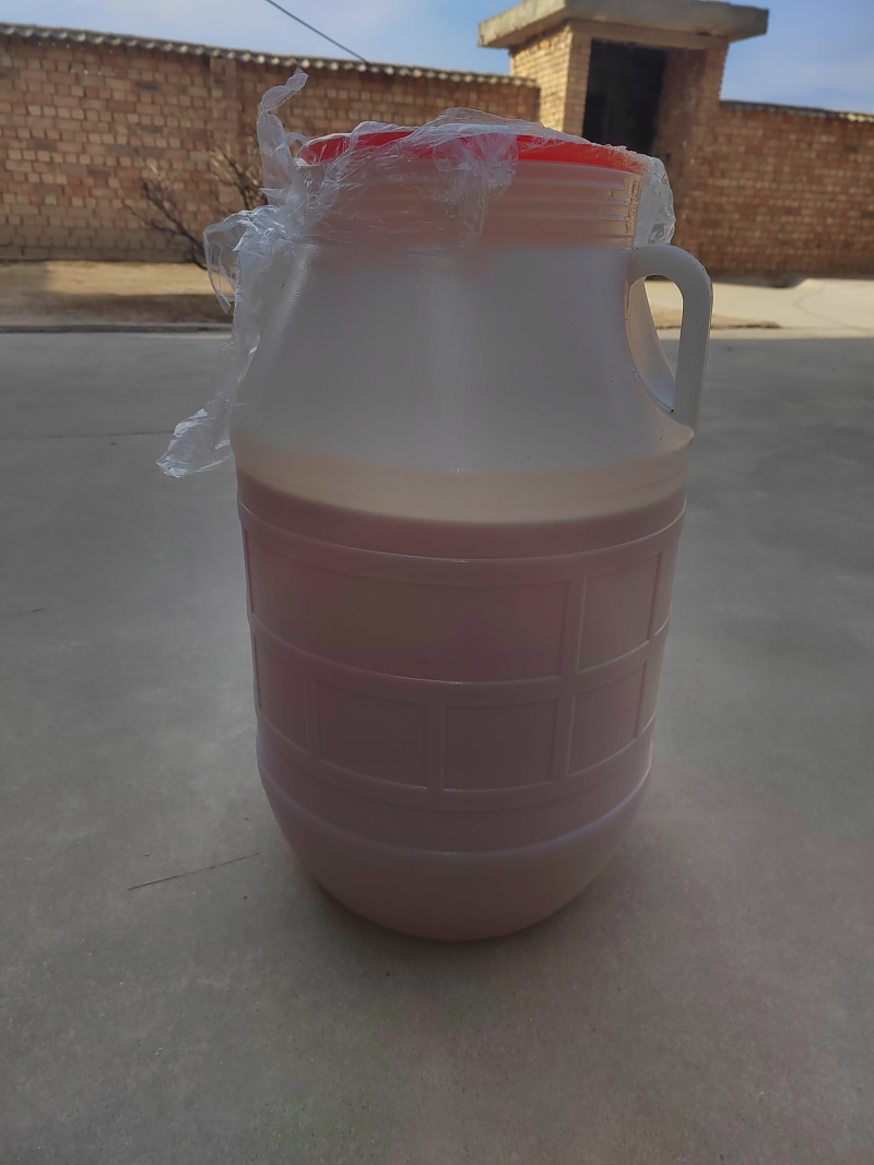 出售核桃油100斤