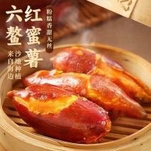 福建漳州漳浦六鳌蜜薯大量上市产地直发量大价优货真价实