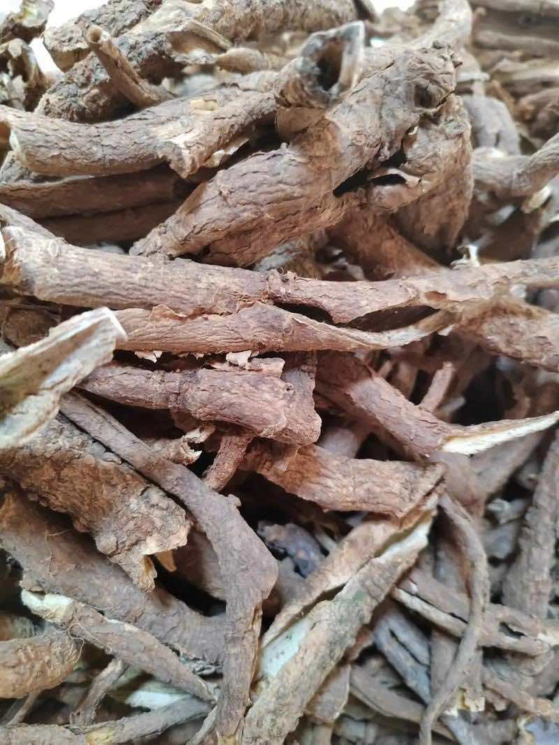 防风规格齐全基地直发质量保证量大干货鲜货各种规格