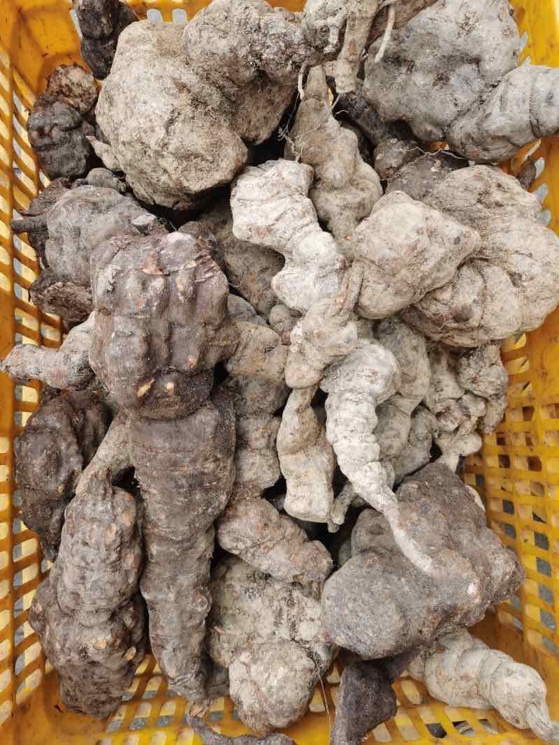 何首乌野生药材干货鲜货规格齐全质量保证欢迎咨询