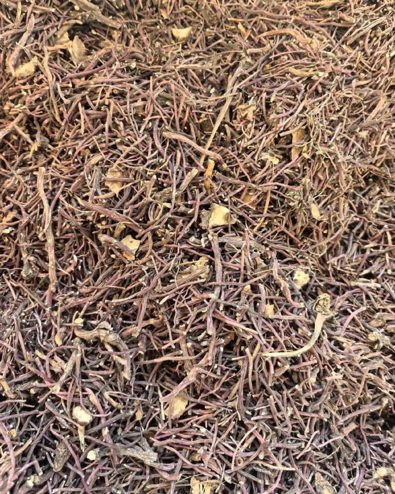 紫苑无硫中药材产地直发量大价优质量保证欢迎联系