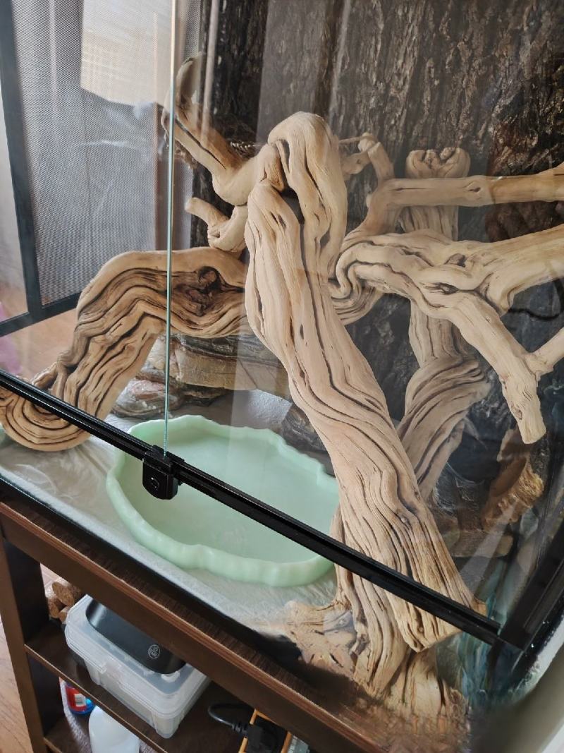 金银花树，爬架摆件仿真造景
