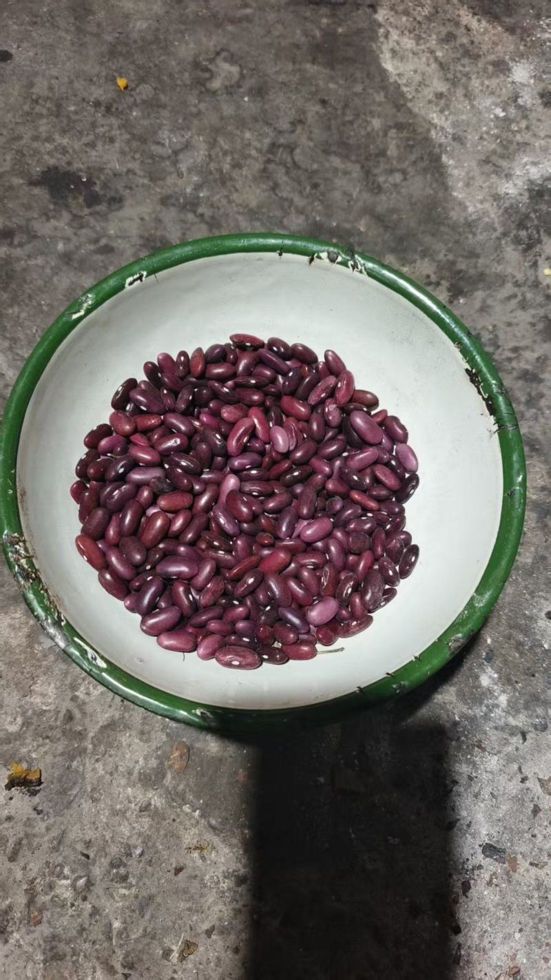 云南红豆