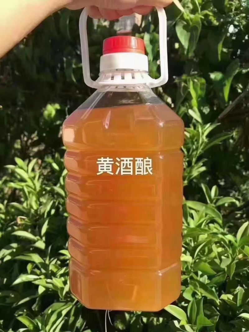 客家黄老酒
