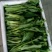 大量供应连州2号，4号菜心，