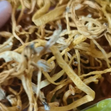 天然晒干***，靓干虫草花