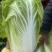 黄心大白菜，现货，无坏根滥心，每颗2到6斤，欢迎联系