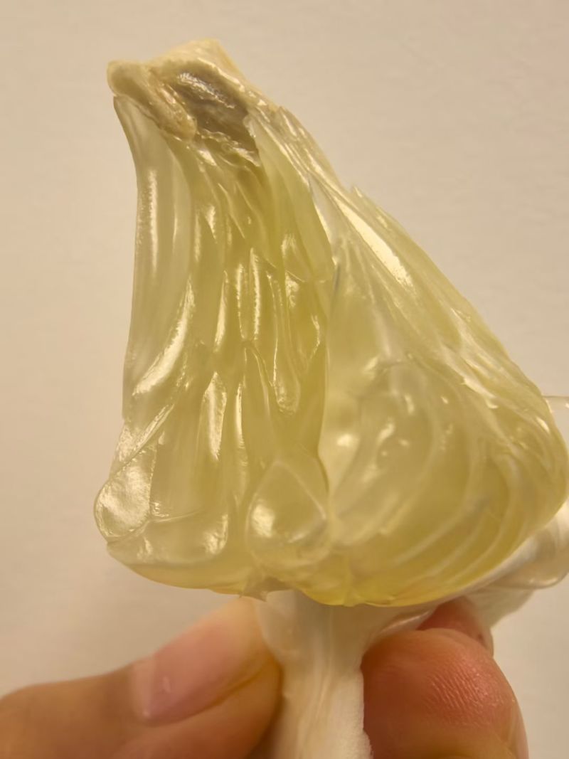 冰糖柚