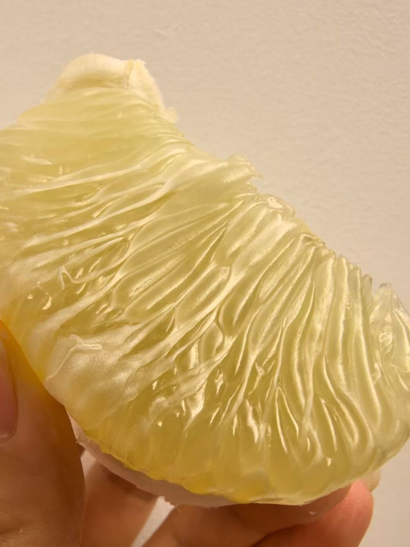 冰糖柚