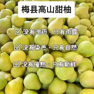 梅州沙田柚