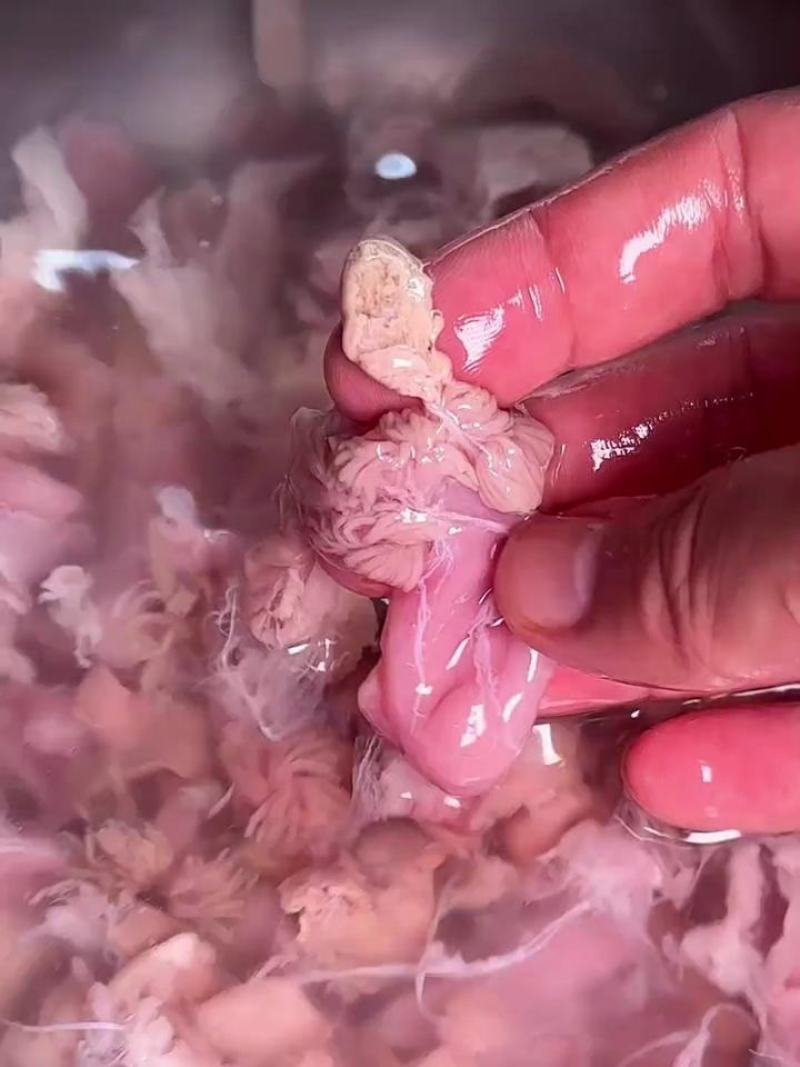 鳜鱼花