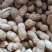 精品花生干鲜均有各种规格齐全货量充足量大价优对接市场加工厂