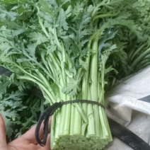 蔬菜