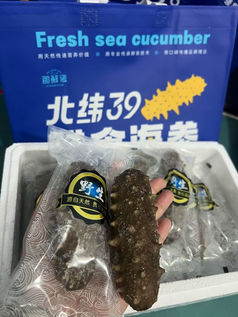 大参王