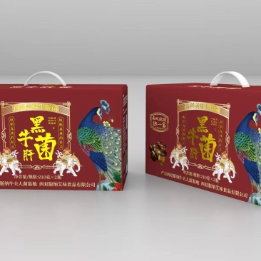 牛肝菌