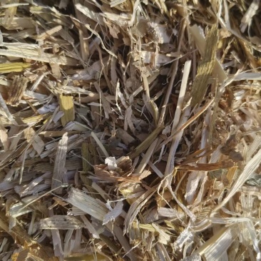 柔丝除尘玉米秸秆