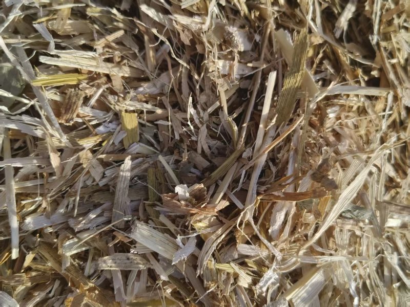 柔丝除尘玉米秸秆