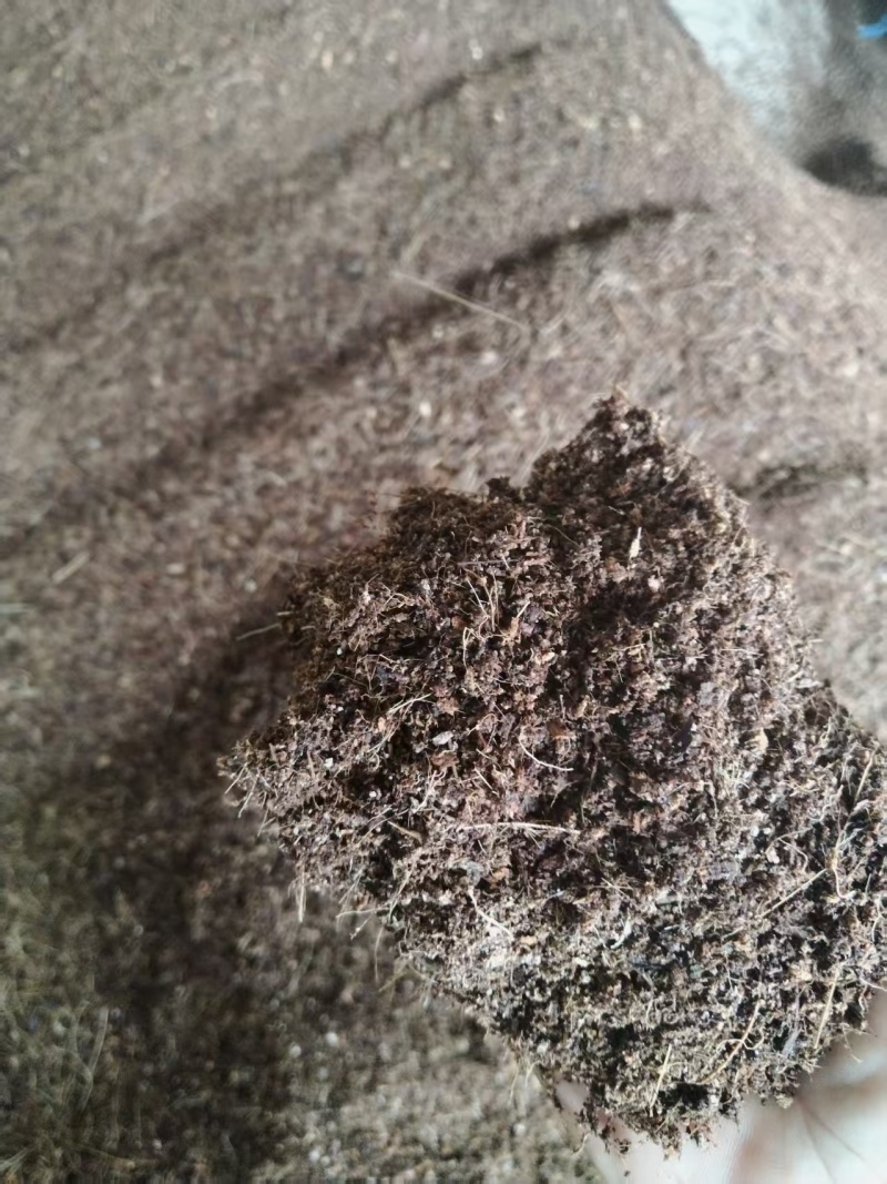 不带内胆纯椰皮打
