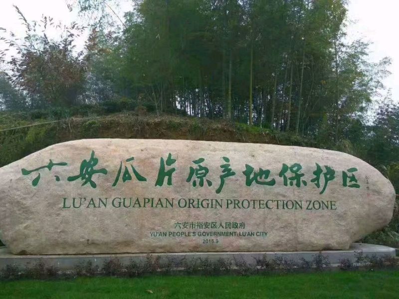 六安瓜片