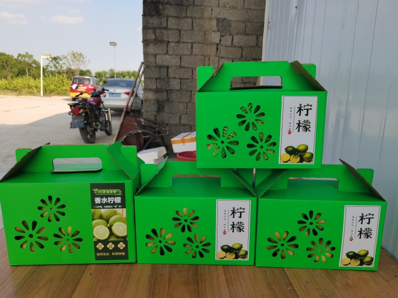 广东省香水柠檬