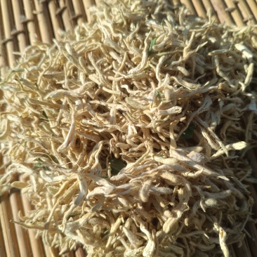 干金银花