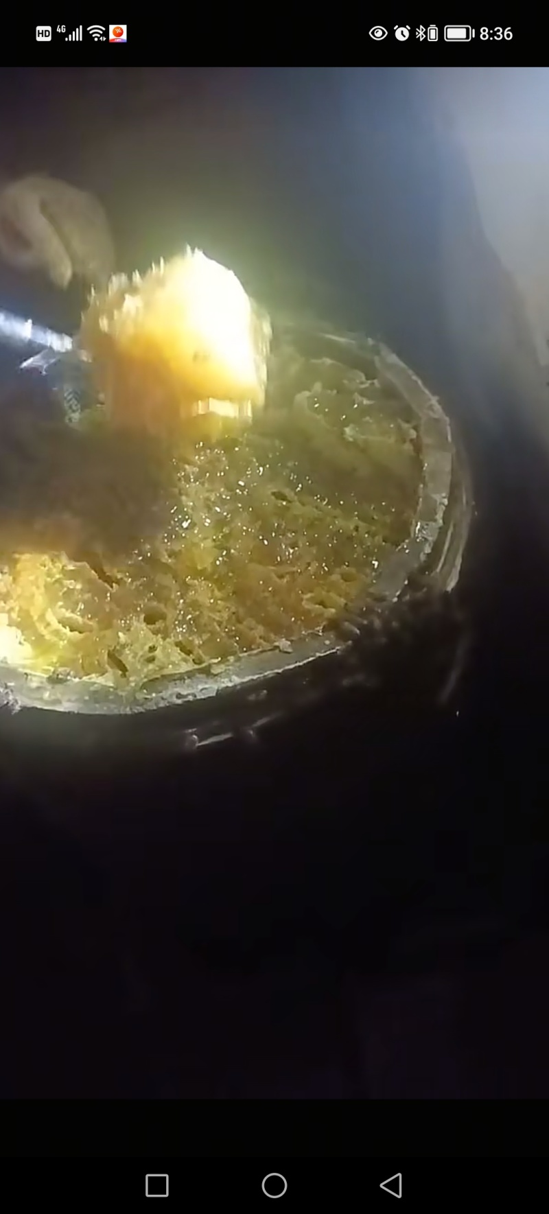大山里的***土蜂蜜