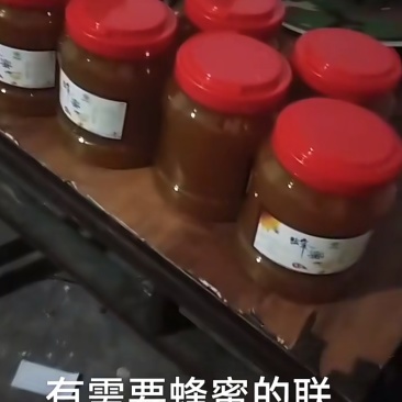 大山里的***土蜂蜜