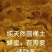 大山里的***土蜂蜜