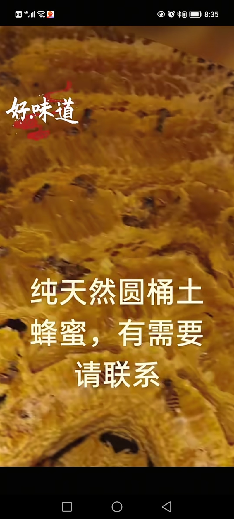 大山里的***土蜂蜜